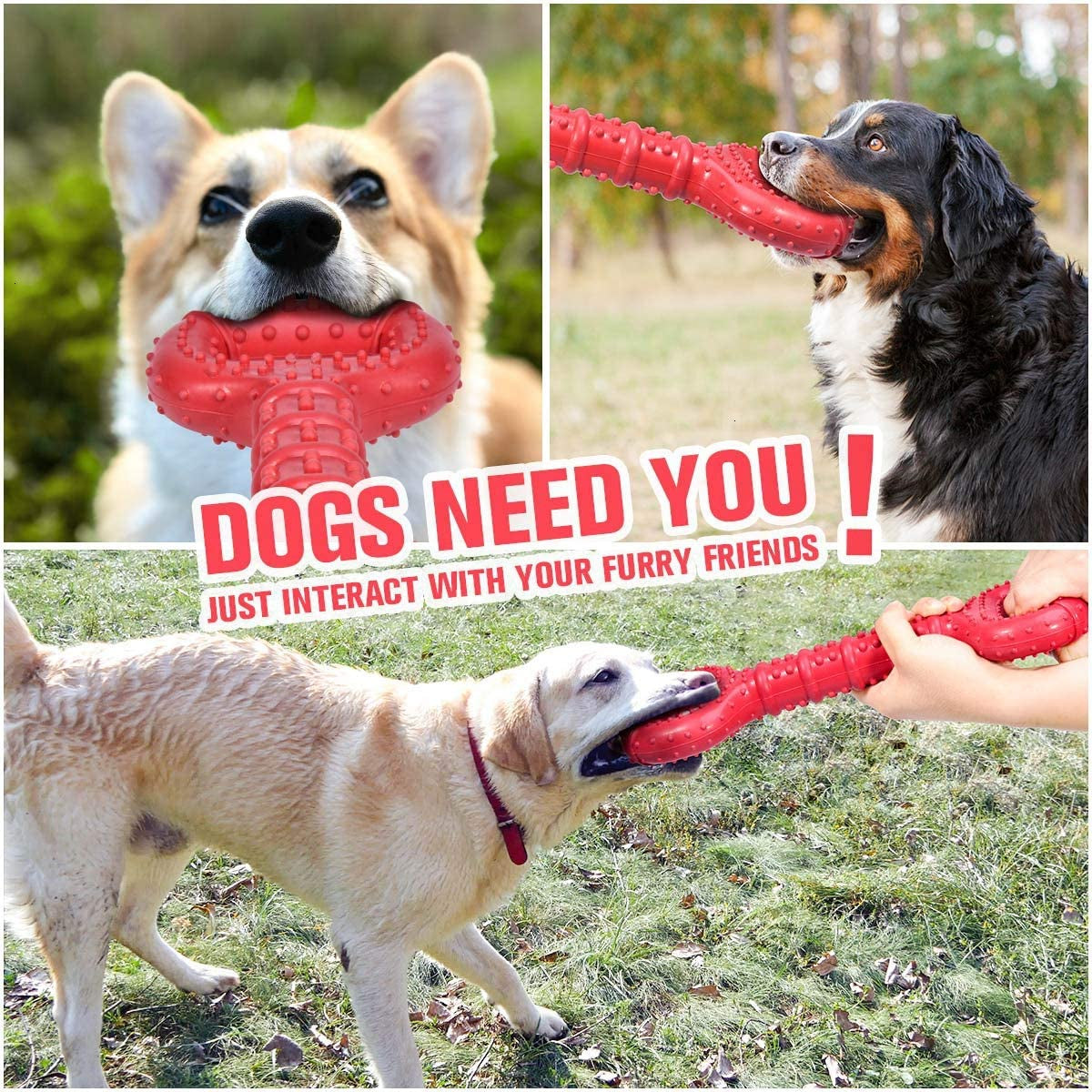 Large Breed Dog Toys - Indestructible Interactive Bone Toy, 15 Inch, Natural Rubber, Tooth Cleaning, Tug-Of-War for Medium & Large Dogs