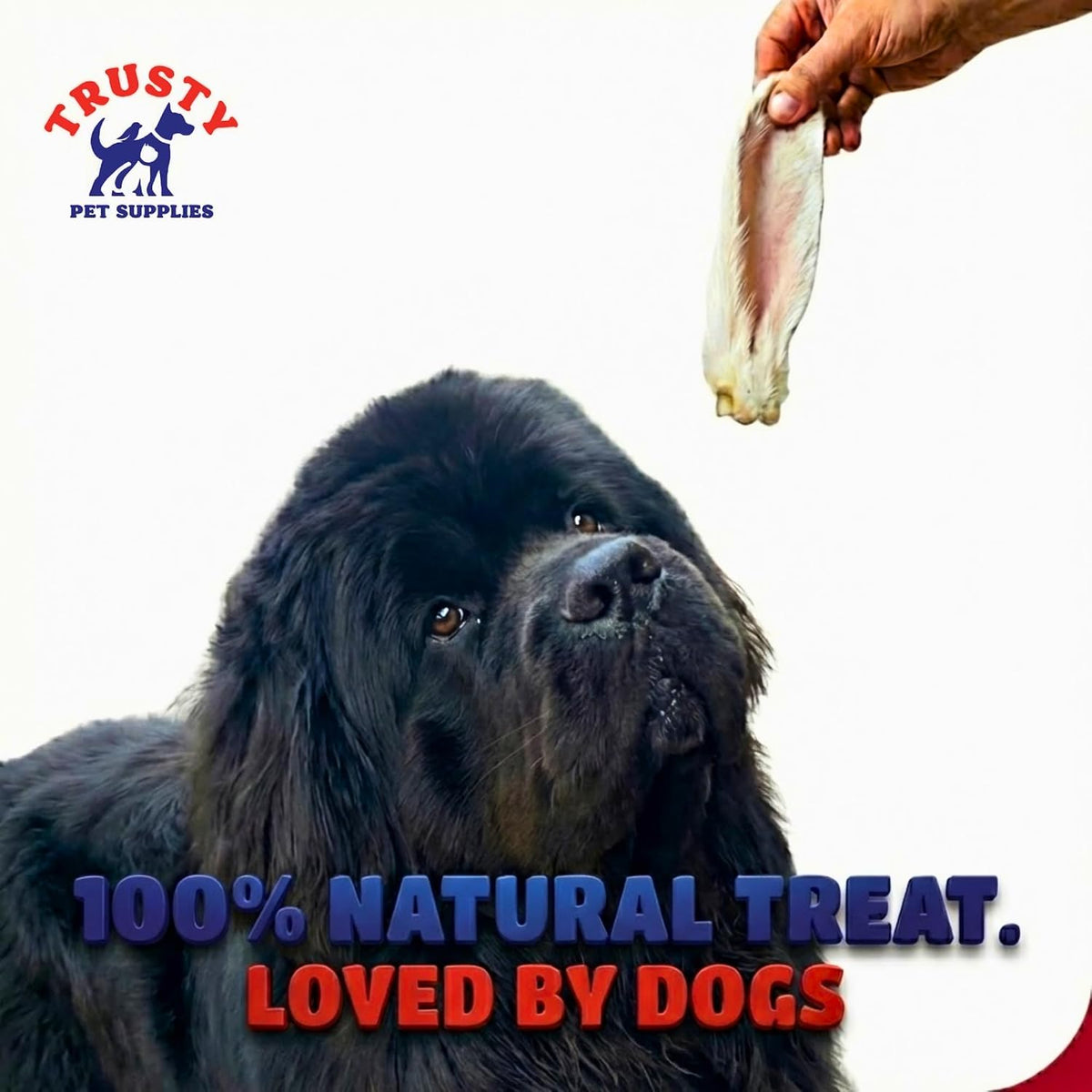 Rabbit Ears with Fur for Dogs 500G (Approx. 30-40 Ears) | 100% Natural Low Fat Dog Treats | Hypoallergenic Raw Dog Food Chew | Grain Free Pet Food | Natural Dewormer
