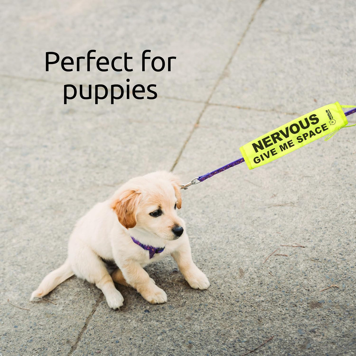 Nervous, Anxious Dog Lead Sleeve Sign, Give Me Space Neon Hi Vis Reactive Dog Leash Slip Cover, Reactive, Awareness, Yellow Warning, Pet Training Leads, Rescue Dogs Accessories by