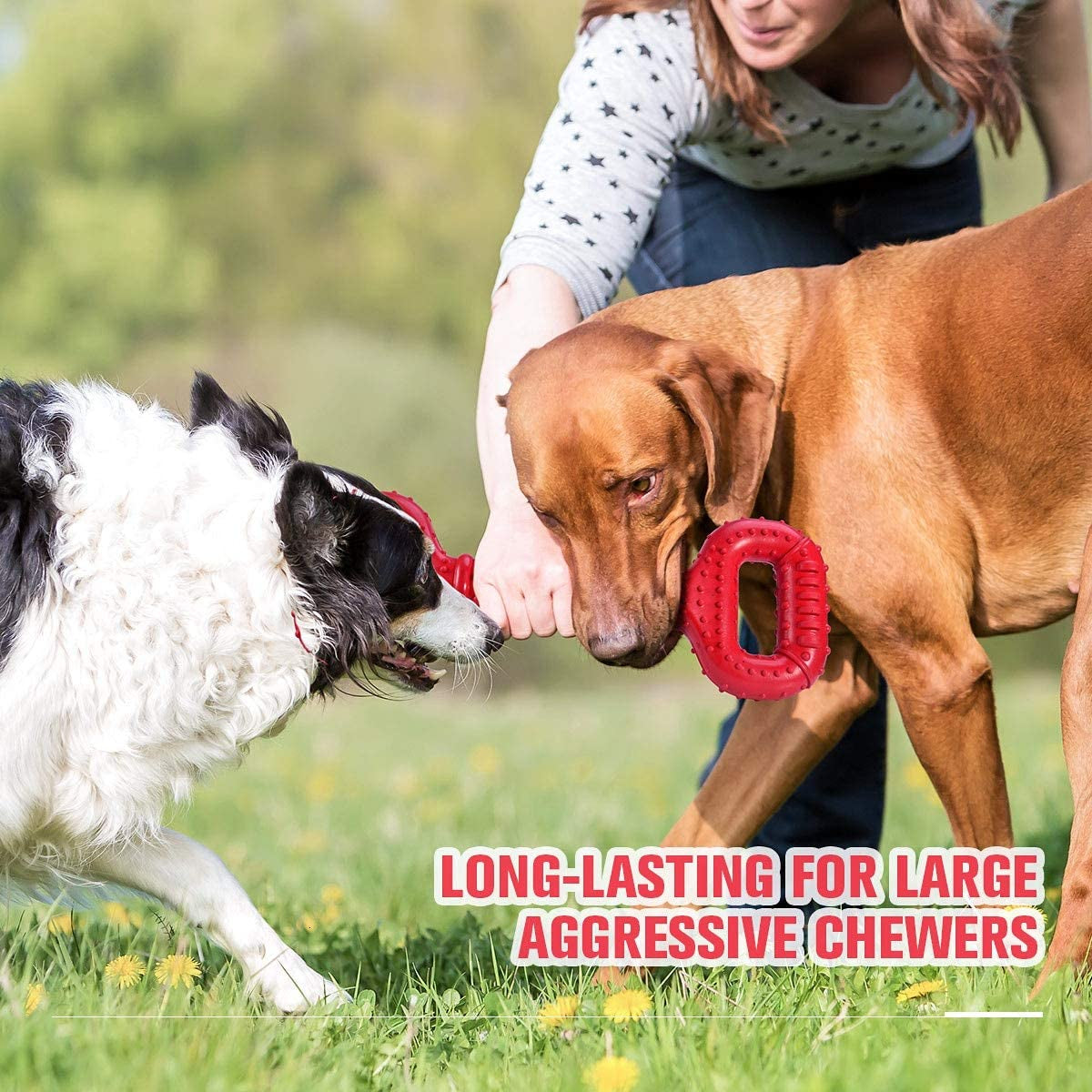 Large Breed Dog Toys - Indestructible Interactive Bone Toy, 15 Inch, Natural Rubber, Tooth Cleaning, Tug-Of-War for Medium & Large Dogs