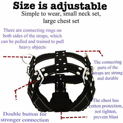 Dog Harness for Large Dog,Pit Bull Dog Harness Large Dog Collar Wholesale Leash Dog Vest Collar Fashion Pet Products Accessories
