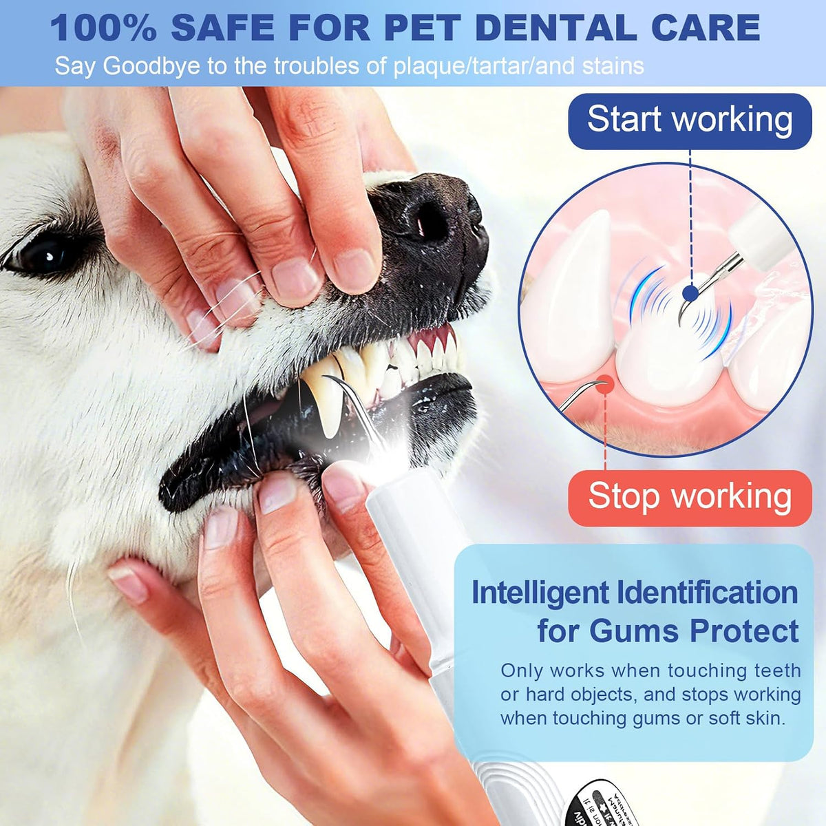 Dog Plaque Remover for Teeth Cleaning Products
