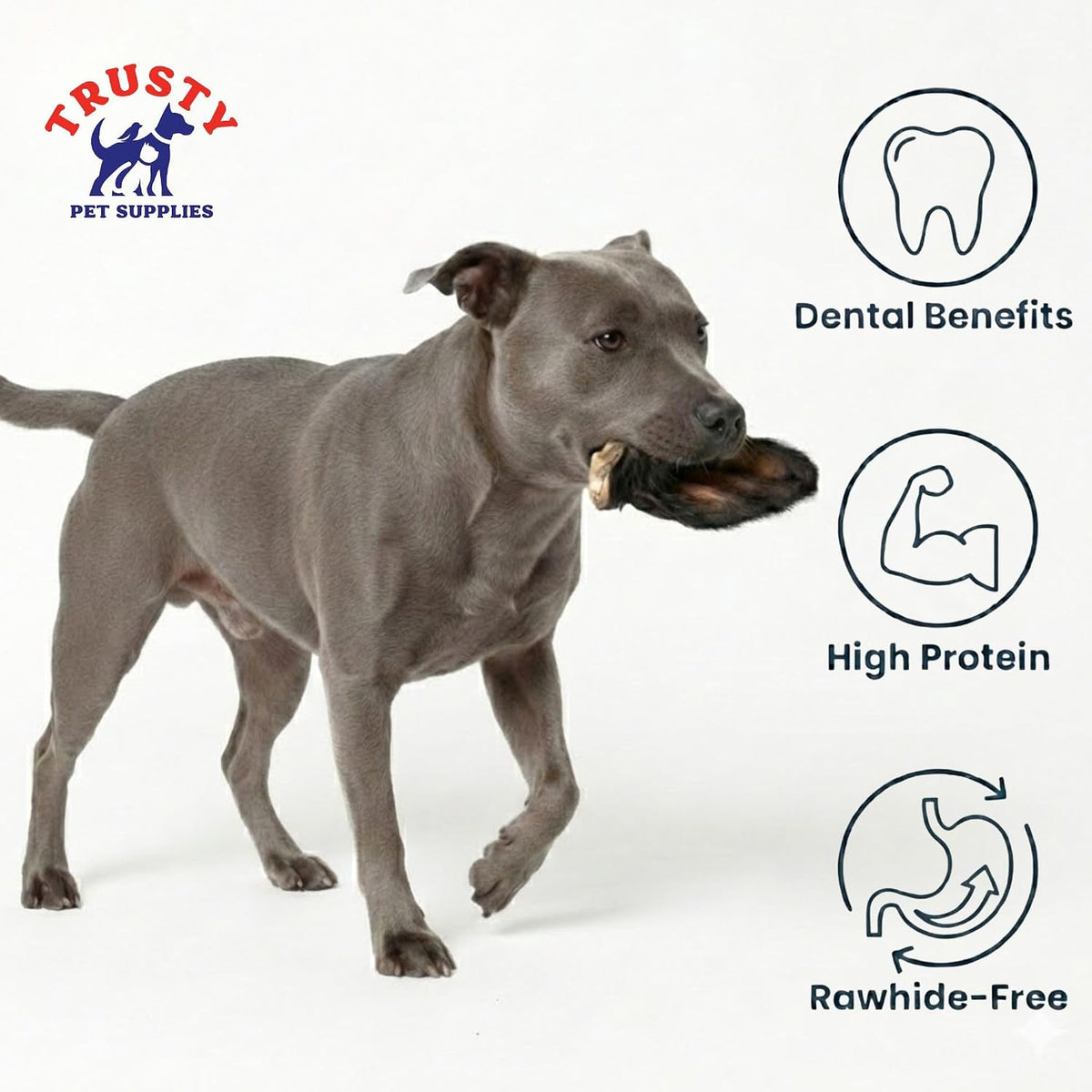 Cows Ear for Dogs X 10 Ears with Fur | 100% Natural Treats | Grain Free & Hypoallergenic | Natural Long Lasting Raw Buffalo Ear Chew | Tasty Raw Dog Treat | Natural Dewormer | by