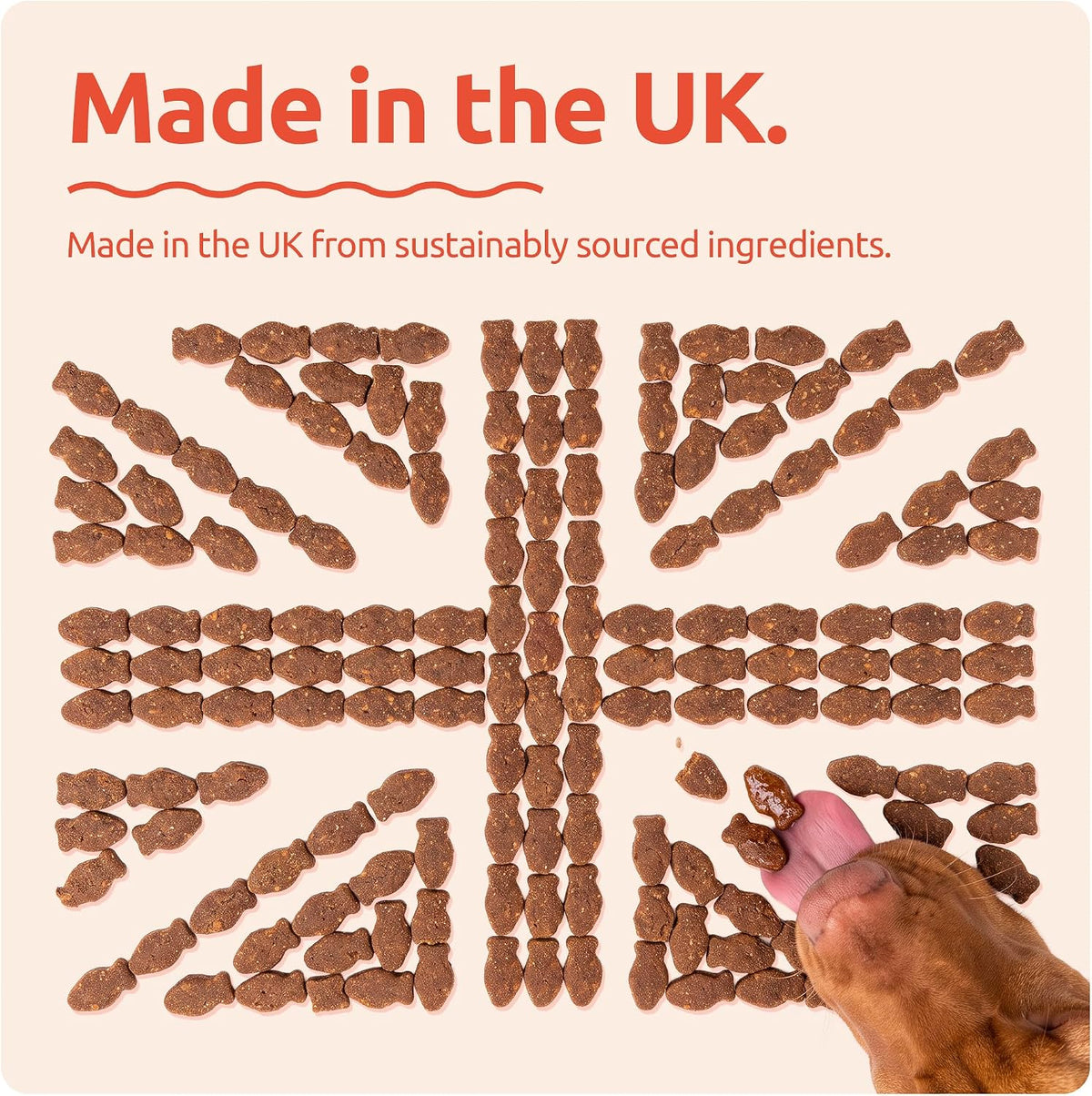 Dog Training Treats - Grain Free - Dog Treats - Made in UK