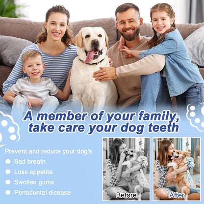 Dog Plaque Remover for Teeth Cleaning Products